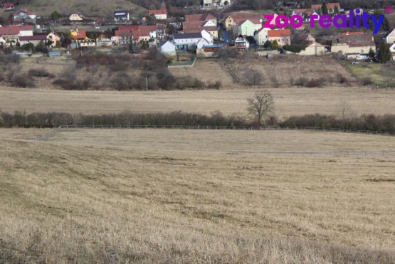 img-2730.jpg