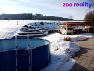 img-20220302-144115-644-1.jpg