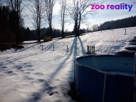 img-20220302-144118-961-1.jpg