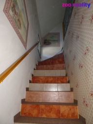 dsc00643.jpg