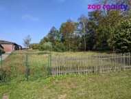 pxl-20211003-081635757-1.jpg