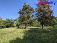 pxl-20211003-082016200-1.jpg