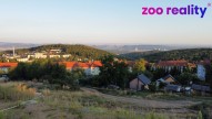remotemediafile-6554097-0-2022-08-04-19-50-50.jpg