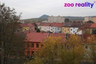 img-5151.jpg