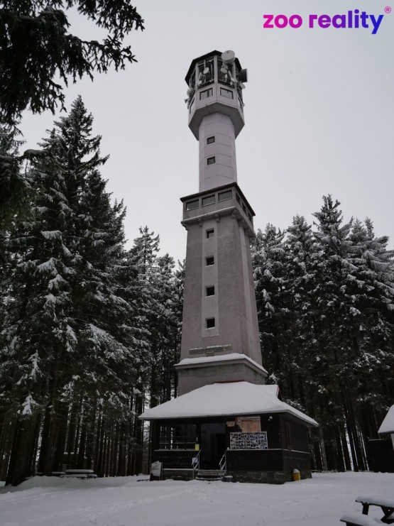 p1012525.jpg