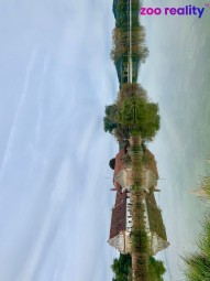 img-1219.jpeg