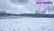 68b699cc-1237-4c0f-b2c7-42233546ff90.jpeg