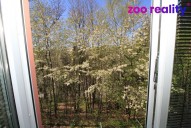 img-0772.jpg