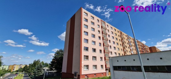 20230628-161954.jpg