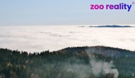 p1000237.jpg