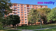 20231011-095240.jpg