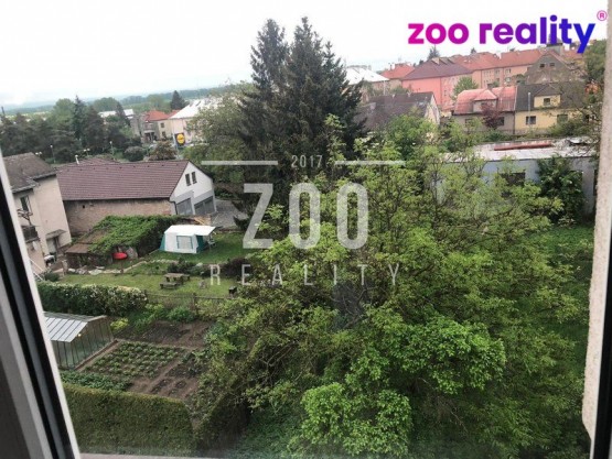 whn800x800wm1810090051-17102-pronajem-bytu-2-kk-36m2-dusikova-caslav-caslav-nove-mesto-whatsapp-image-2020-05-12-at-17-12-28-e38501.jpg