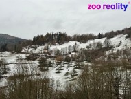 216085d5-b1d3-4481-8e77-9e8ff3d15f88.jpeg