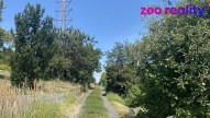 img-6813.jpeg