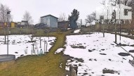 fotor_(109)