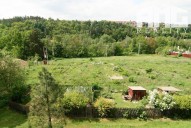 IMG_0740 (2)