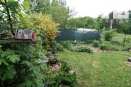 IMG_0721 (2)