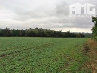 IMG_6284