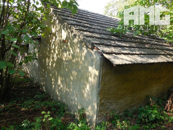 DSCN1300