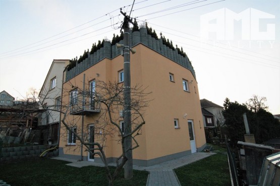 IMG_1737 (2)