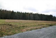 IMG_1768 (2)