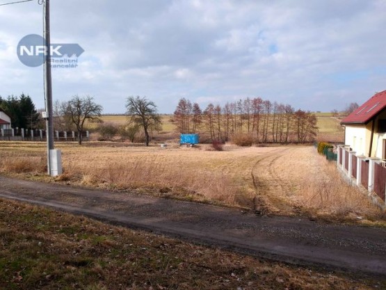 dji-0581.jpg
