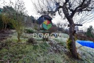 dsc-1990.jpg
