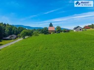 DJI_0965