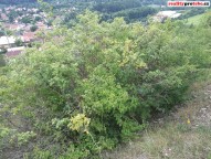 IMG_20180628_093001