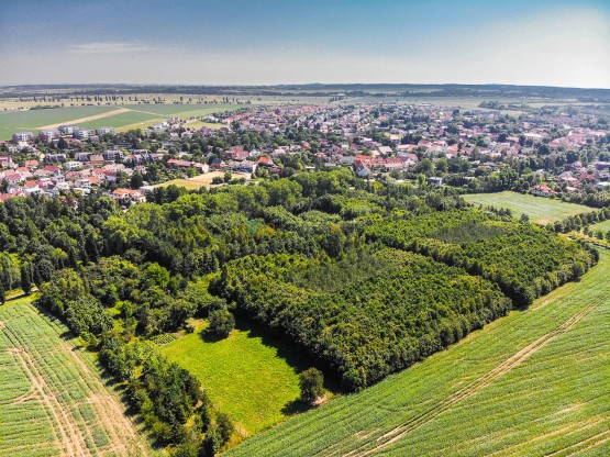 hdr-0003.jpg