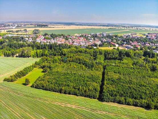 hdr-0001-1.jpg