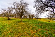 dsc-0257.jpg