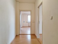 img-20240116-112919.jpg