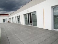 IMG_5232