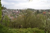 dsc-0390.jpg