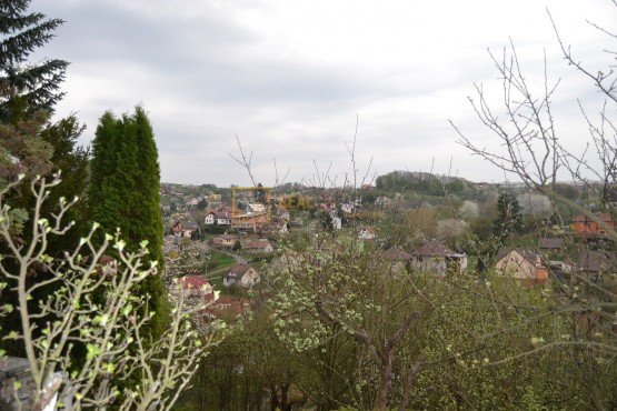 dsc-0387.jpg