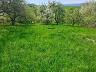 img-5610.jpg
