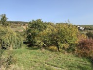 img-0069.jpeg