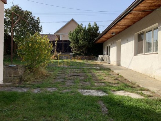 img-0083.jpeg