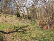 foto005