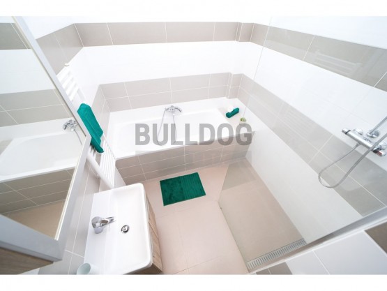 koupelna s vanou i sprchovým koutem