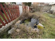 jezírko na zahradě