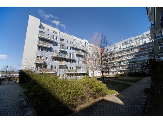 IMG_3890_pro_realman