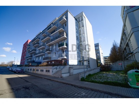 IMG_3896_pro_realman