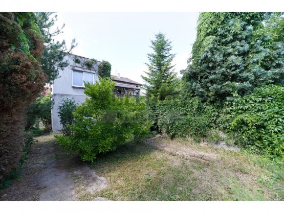 pohled na dům ze zahrady v letních měsících