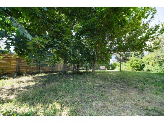 zahrada v letních měsících