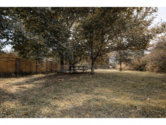 BE86A4DB-AE21-4041-B076-0A9A7CD40493_pro_realman