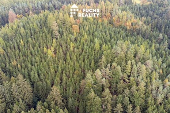 DJI_0272
