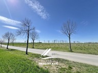 IMG_2677