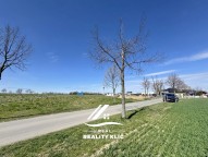 IMG_2676